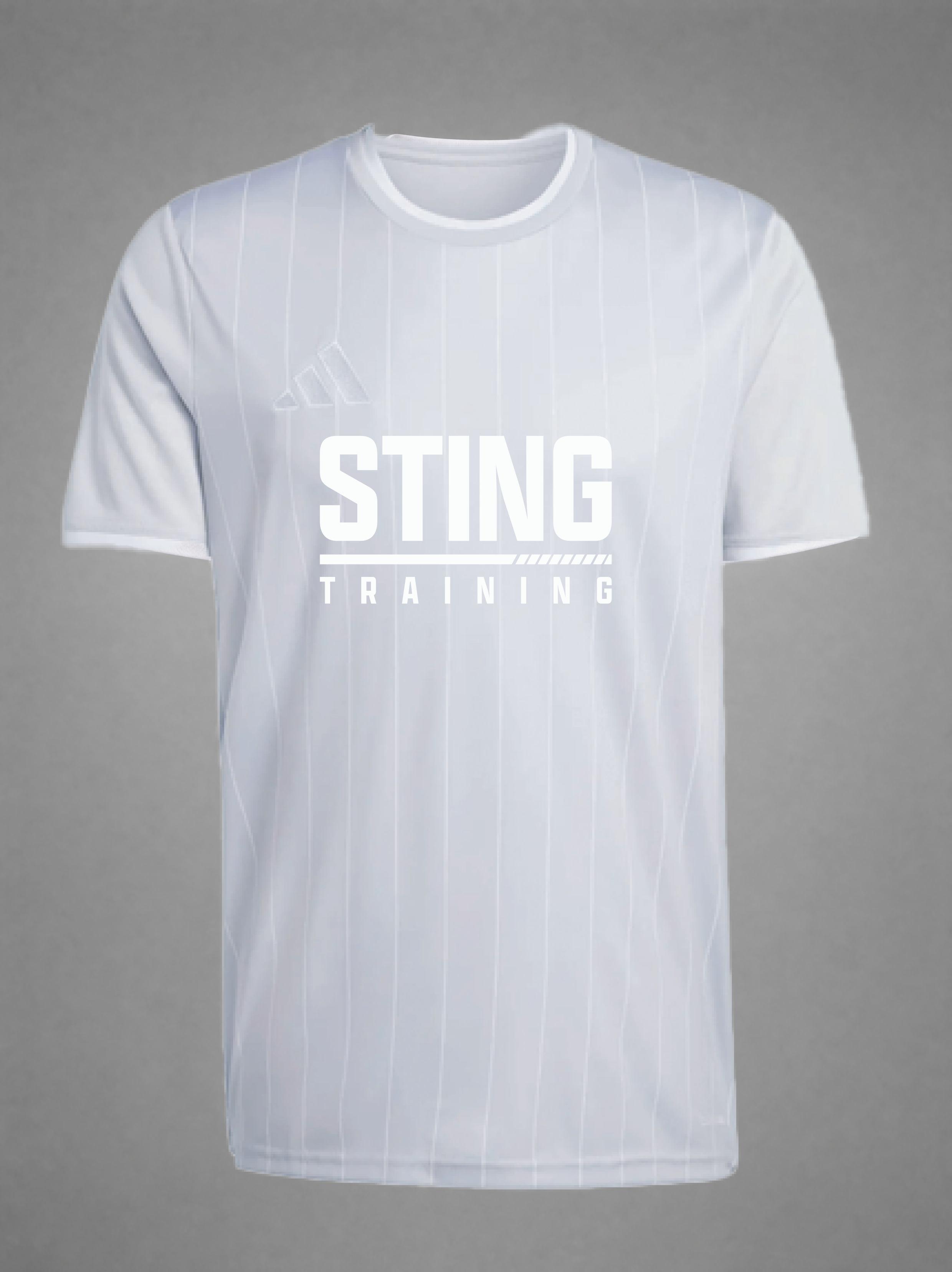 Sting adidas Entrada 26 Training Jersey - Light Grey