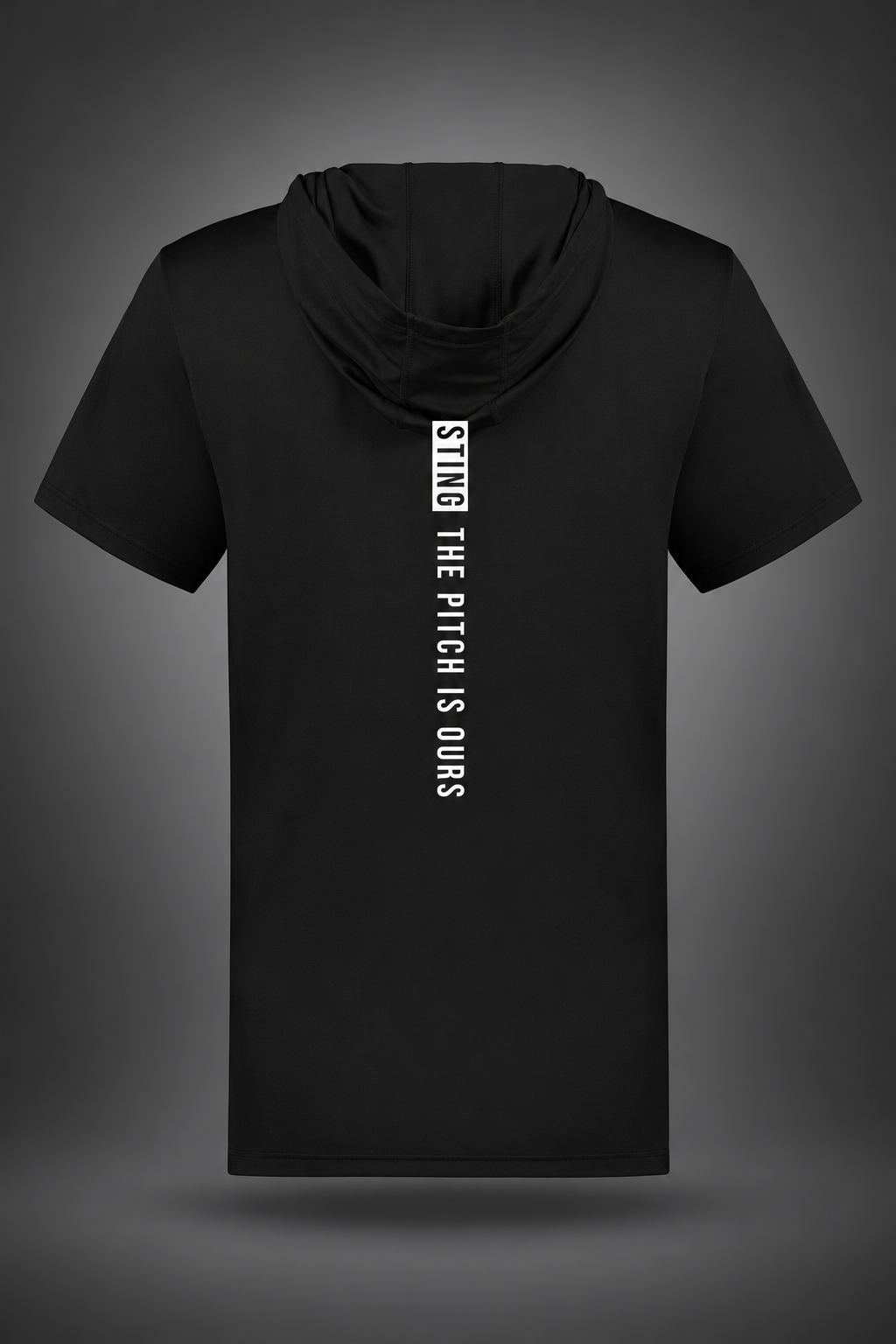 Sting SZN | Pitch Is Ours Coolcore Hoodie – Black, back view